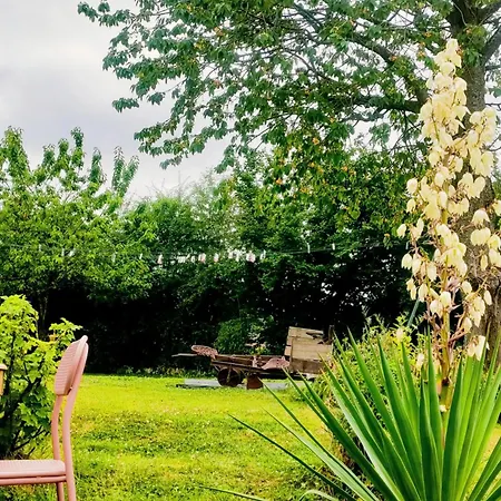 La Source De Nos Racines, De Caractère Bed and breakfast Beaufort (Nord)