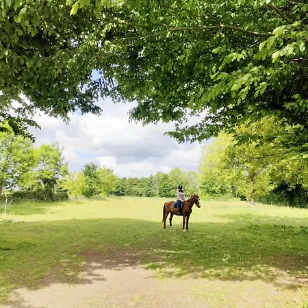 La Source De Nos Racines, De Caractère 3*