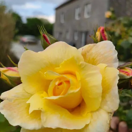 Bed and breakfast La Source De Nos Racines, De Caractère 3*